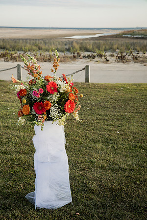 Brandel-205