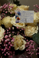 Amentas_0'029_FSP2024
