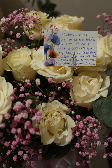 Amentas_0'029_FSP2024