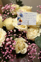 Amentas_0'030_FSP2024