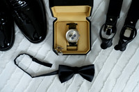 Amentas_0'049_FSP2024