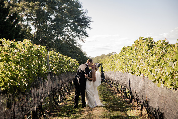 Vineyards-47