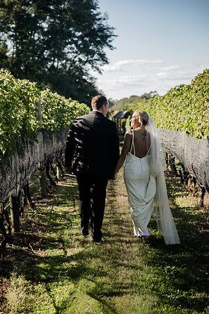 Vineyards-46