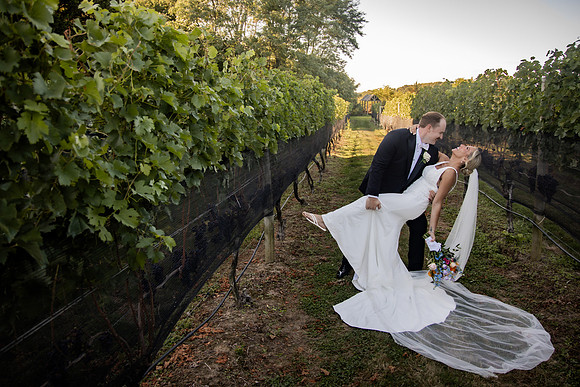Vineyards-49