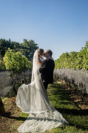 Vineyards-48