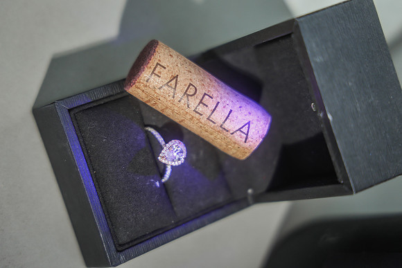 FarellaGalesi_231_FL2025