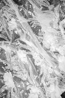 Knapp-8
