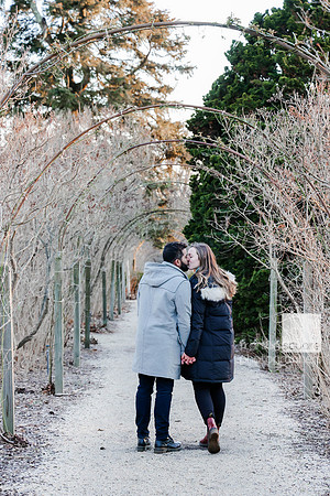 Meadows_333_FSP2022