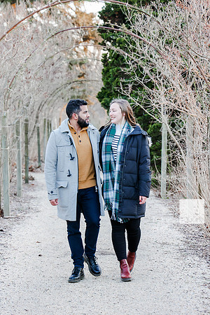 Meadows_334_FSP2022