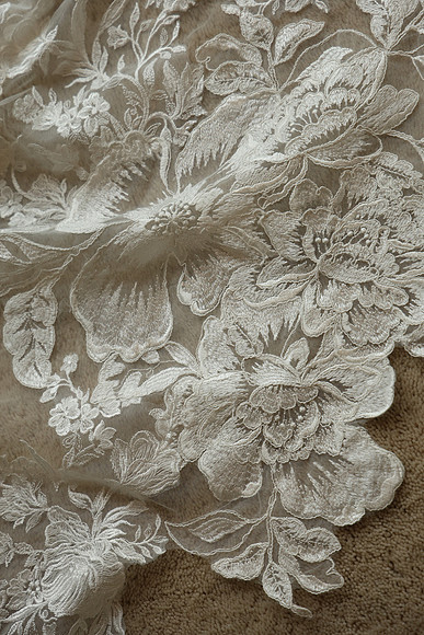 Panarello_0'105_FL2024