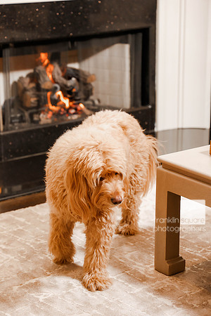 Sheena_011_FSP2022