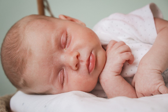 FarellaBaby_213_FL2025-3