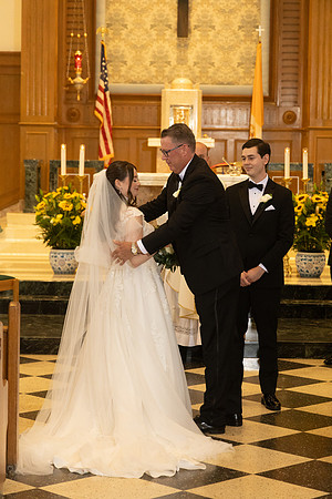 Higgins-288